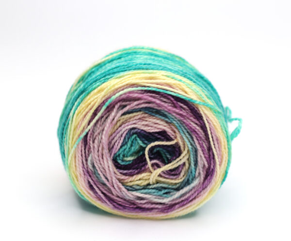 SNEK - hand dyed repeat gradient yarn - 50g - merino wool - H16 Spring is Here! - Image 2