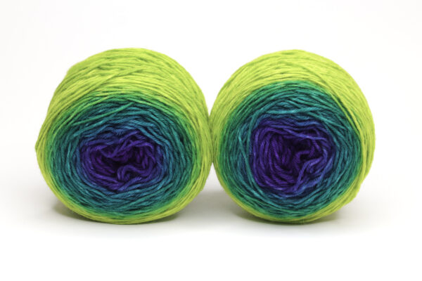 SOK - hand dyed gradient yarn for socks - 2x50g - 324 Lola