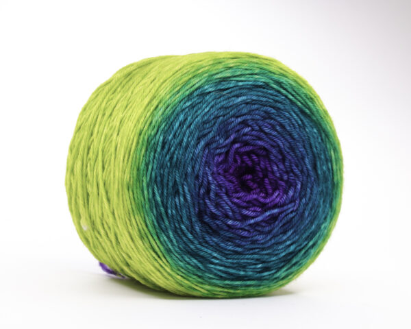 TUPTUP - hand dyed gradient yarn 230g - merino wool - 324 LOLA - Image 4