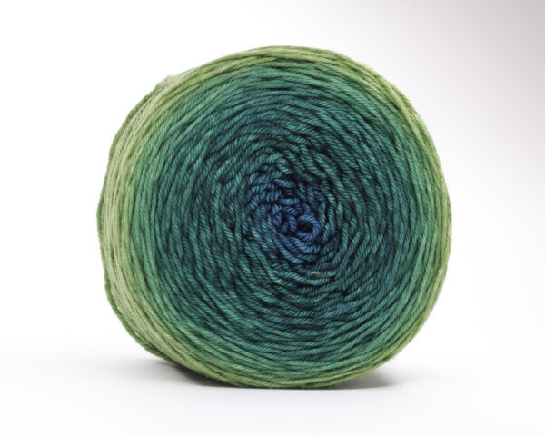 TUPTUP - hand dyed gradient yarn 230g - merino wool - 331 SEBI