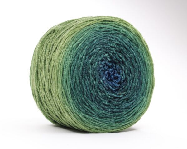 TUPTUP - hand dyed gradient yarn 230g - merino wool - 331 SEBI - Image 2