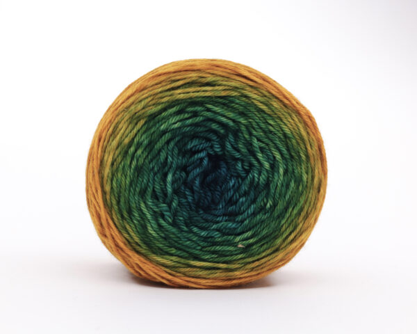 TUPTUP - hand dyed gradient yarn 115g - merino wool - 15 ILLÉS