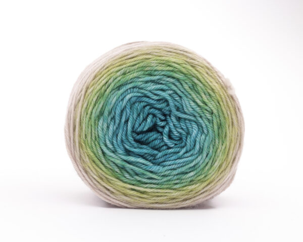 TUPTUP - hand dyed gradient yarn 115g - merino wool - 330 DOMI