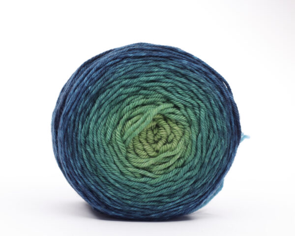 TUPTUP - hand dyed gradient yarn 115g - merino wool - 331 SEBI